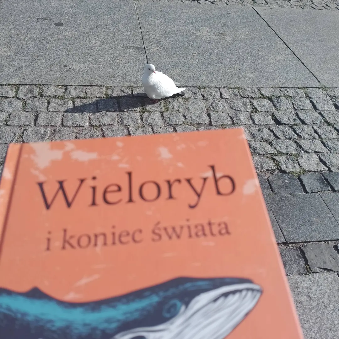 wieloryb i koniec świata 