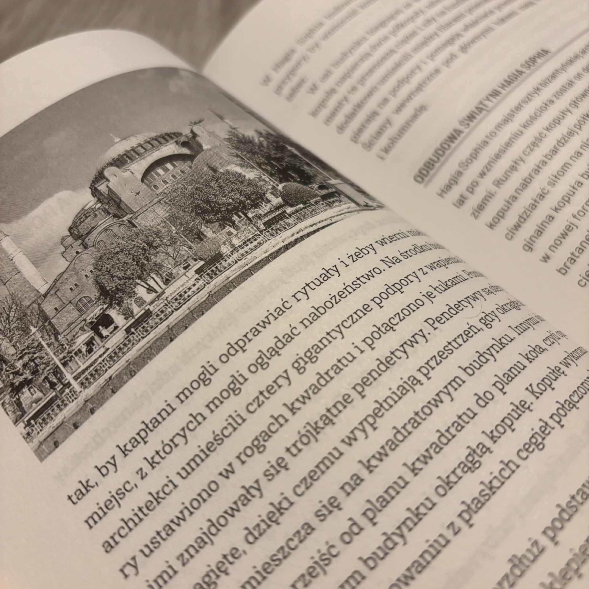 Architektura. Przewodnik dla lubiących rozkminiać bez bólu