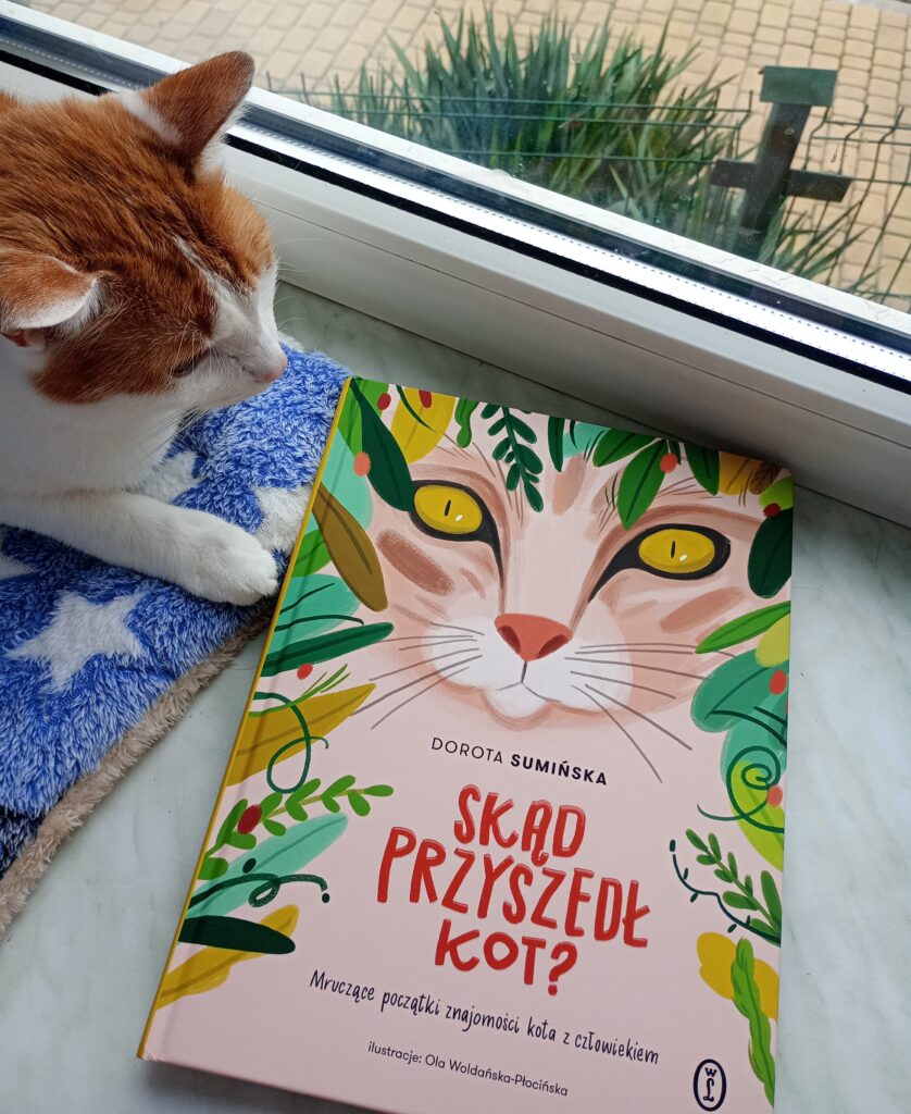 Skąd przyszedł kot