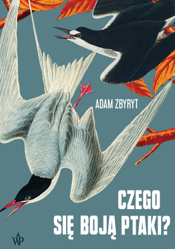 ptak Czego się boją ptaki?