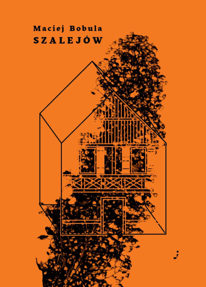 Szalejów Okładka książki Szalejów